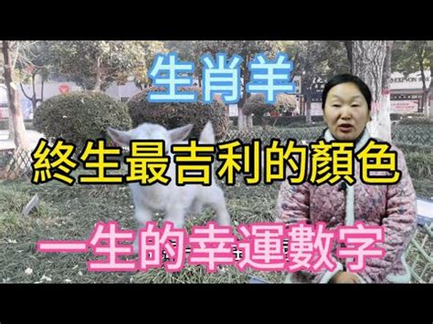 屬羊幸運數字|【屬羊的幸運數字】屬羊人的幸運數字 別錯過，否則後悔莫及！